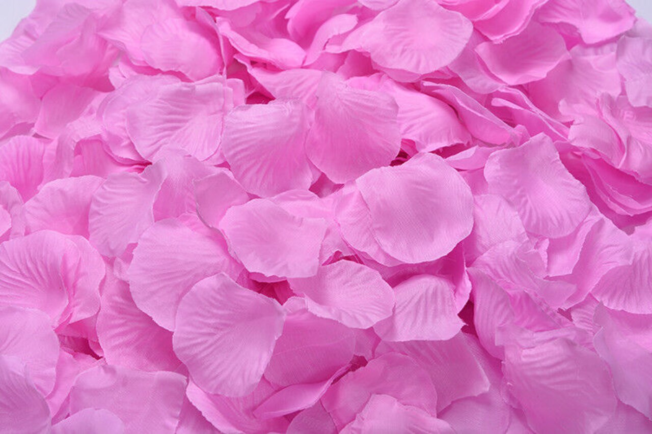 Kitcheniva Multicolor Silk Rose Petals DIY Craft &#x26; Party Decor 1000 Pcs
